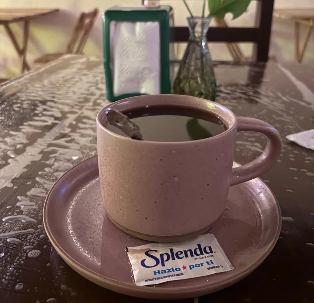 Bebidas Calientes
